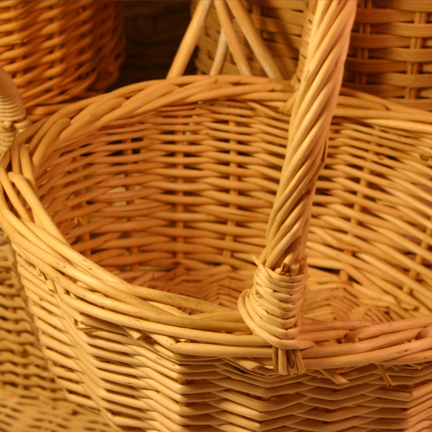 The Basket Cases of the Bible Series – 02 – A Basket Case in God’s Judgment - podcast episode cover